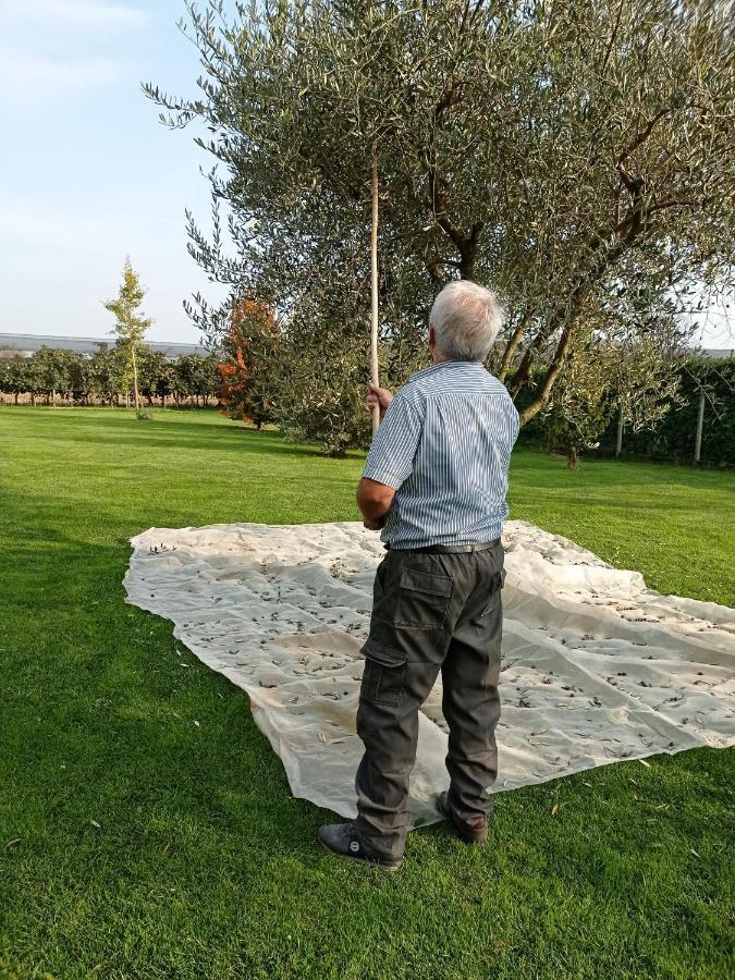 Vila Borgo D'Asolo San Vito Di Altivole Exteriér fotografie