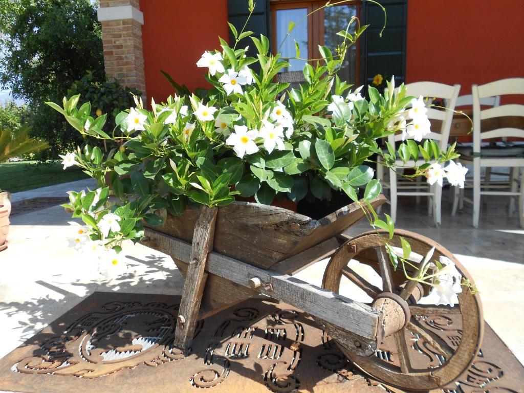 Vila Borgo D'Asolo San Vito Di Altivole Exteriér fotografie