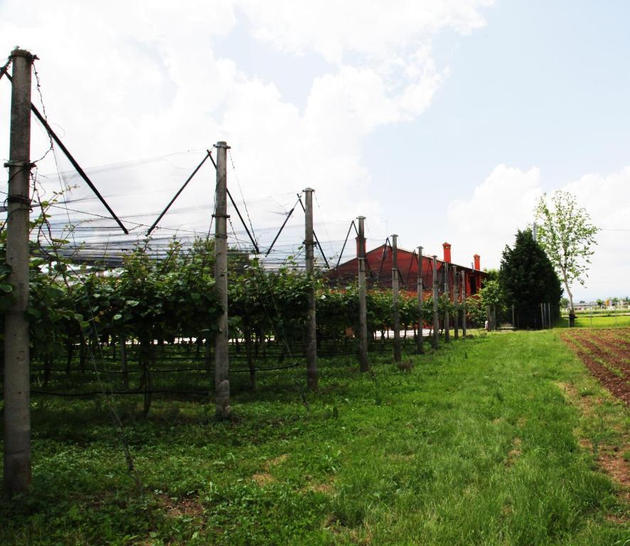 Vila Borgo D'Asolo San Vito Di Altivole Exteriér fotografie